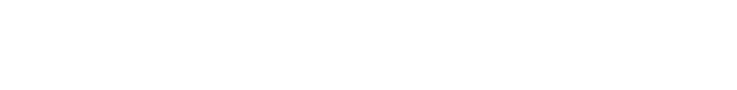 NQi Sport_Logo_White