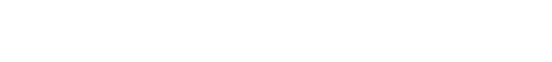 FQiX 300 Logo weiß